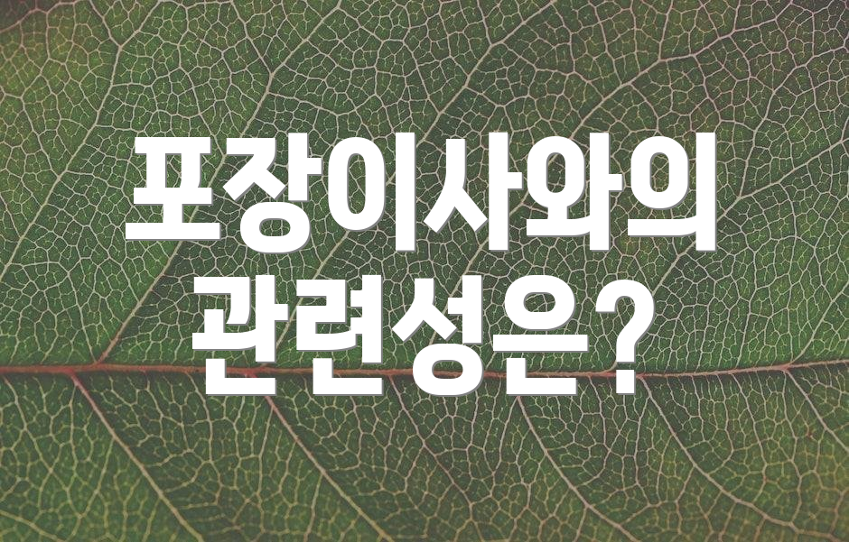 포장이사와의 관련성은?