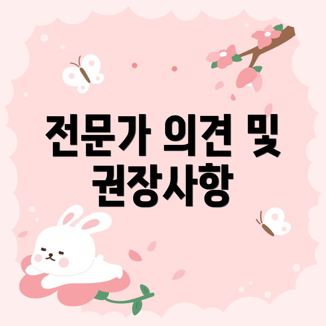 전문가 의견 및 권장사항