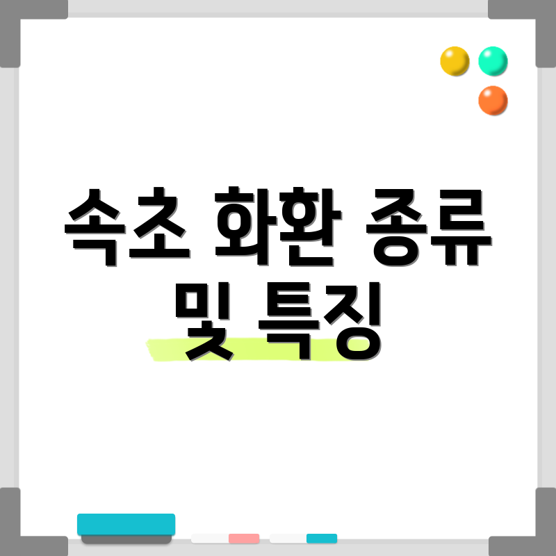 속초 화환 종류 및 특징