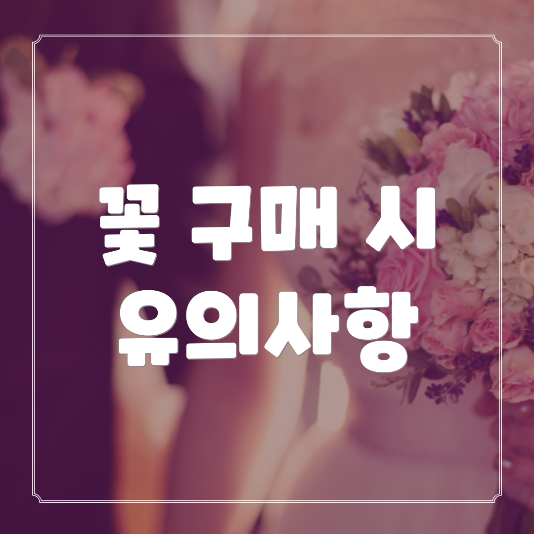 꽃 구매 시 유의사항