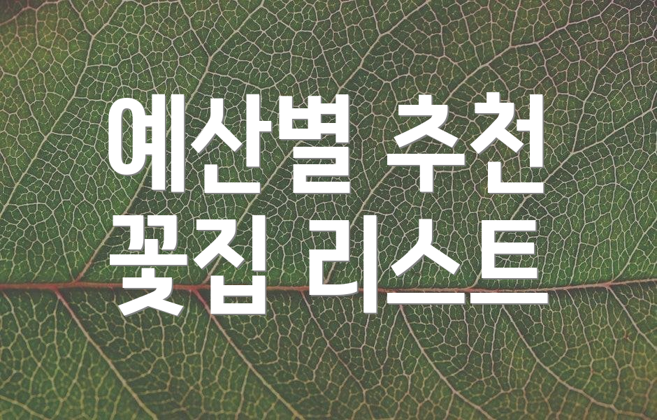 예산별 추천 꽃집 리스트