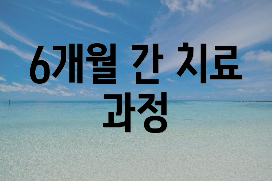 6개월 간 치료 과정