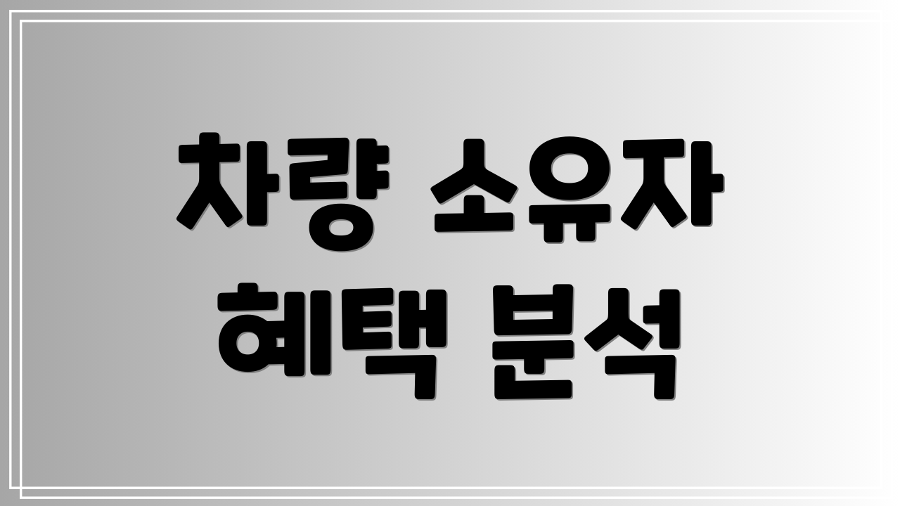 차량 소유자 혜택 분석