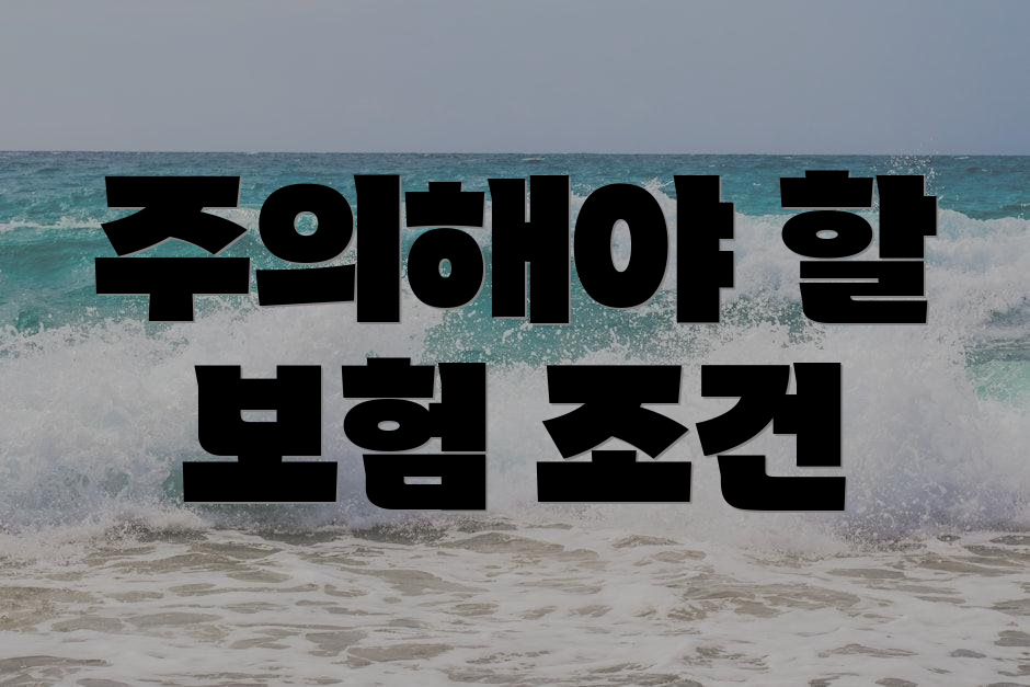 주의해야 할 보험 조건