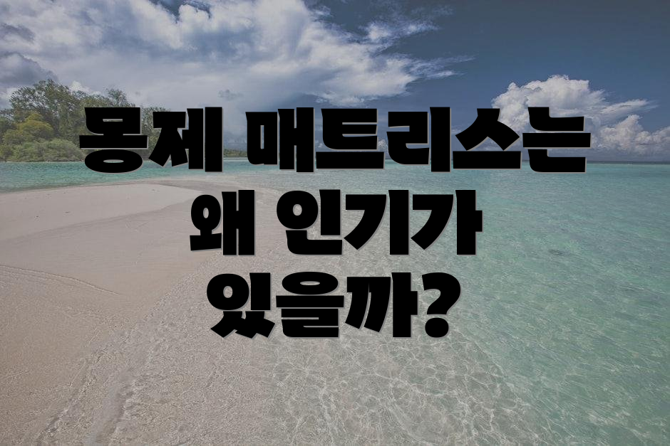 몽제 매트리스는 왜 인기가 있을까?