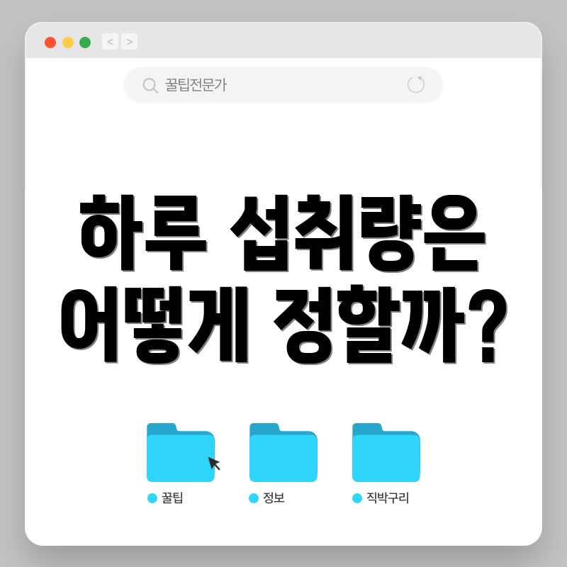 하루 섭취량은 어떻게 정할까?