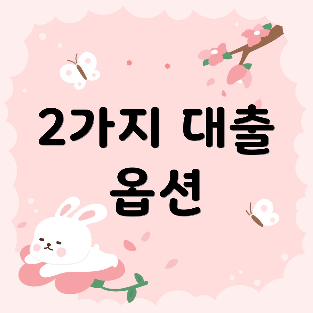 2가지 대출 옵션