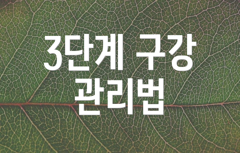 3단계 구강 관리법