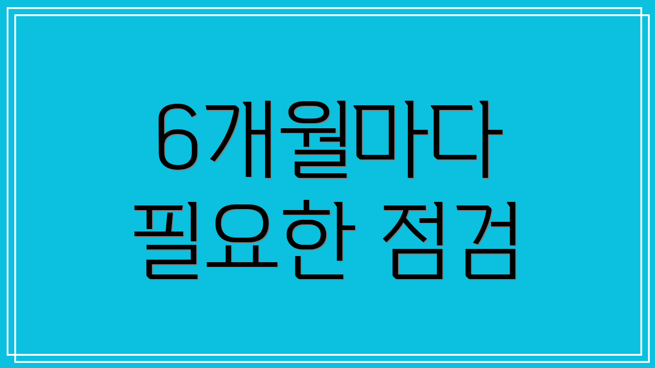 6개월마다 필요한 점검