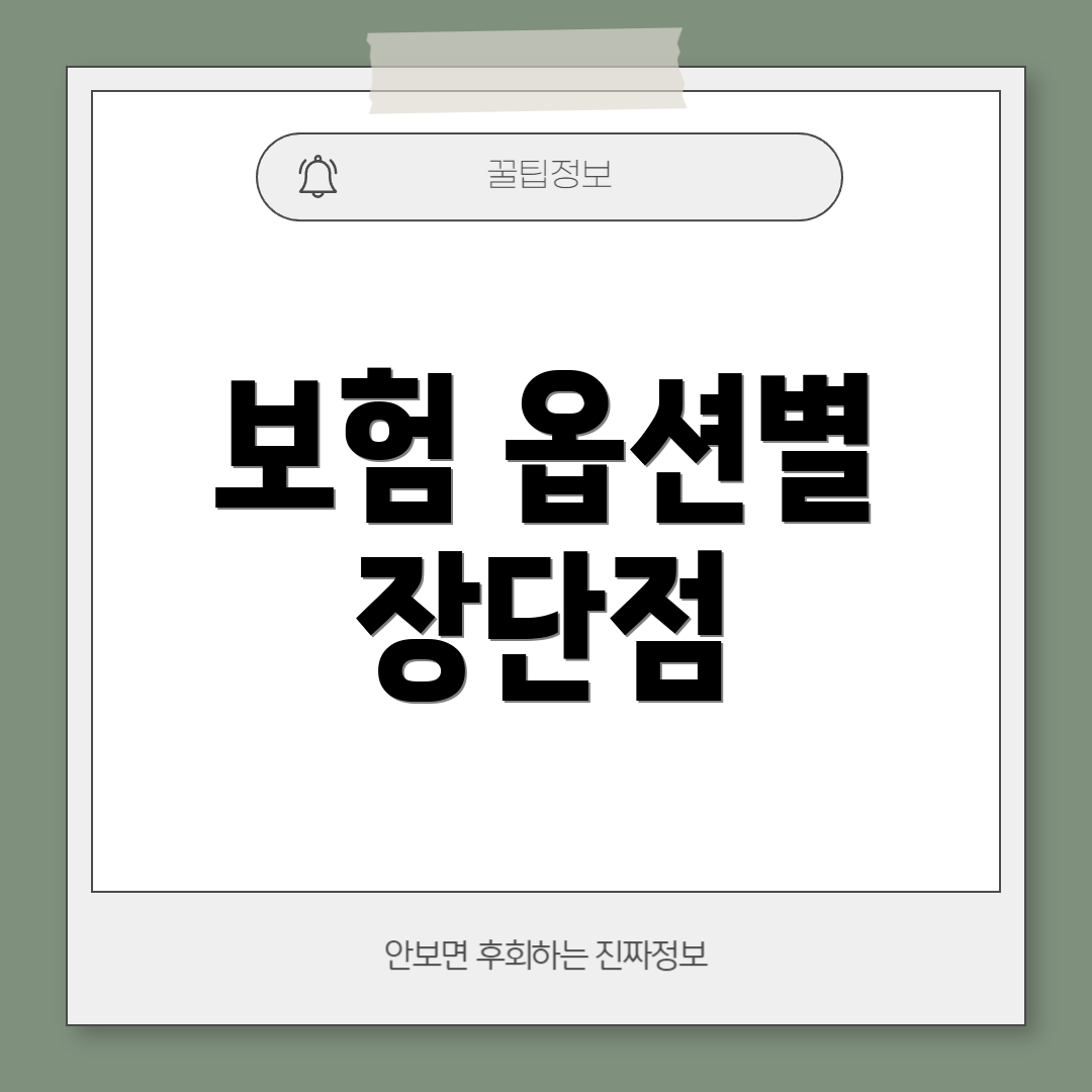 보험 옵션별 장단점