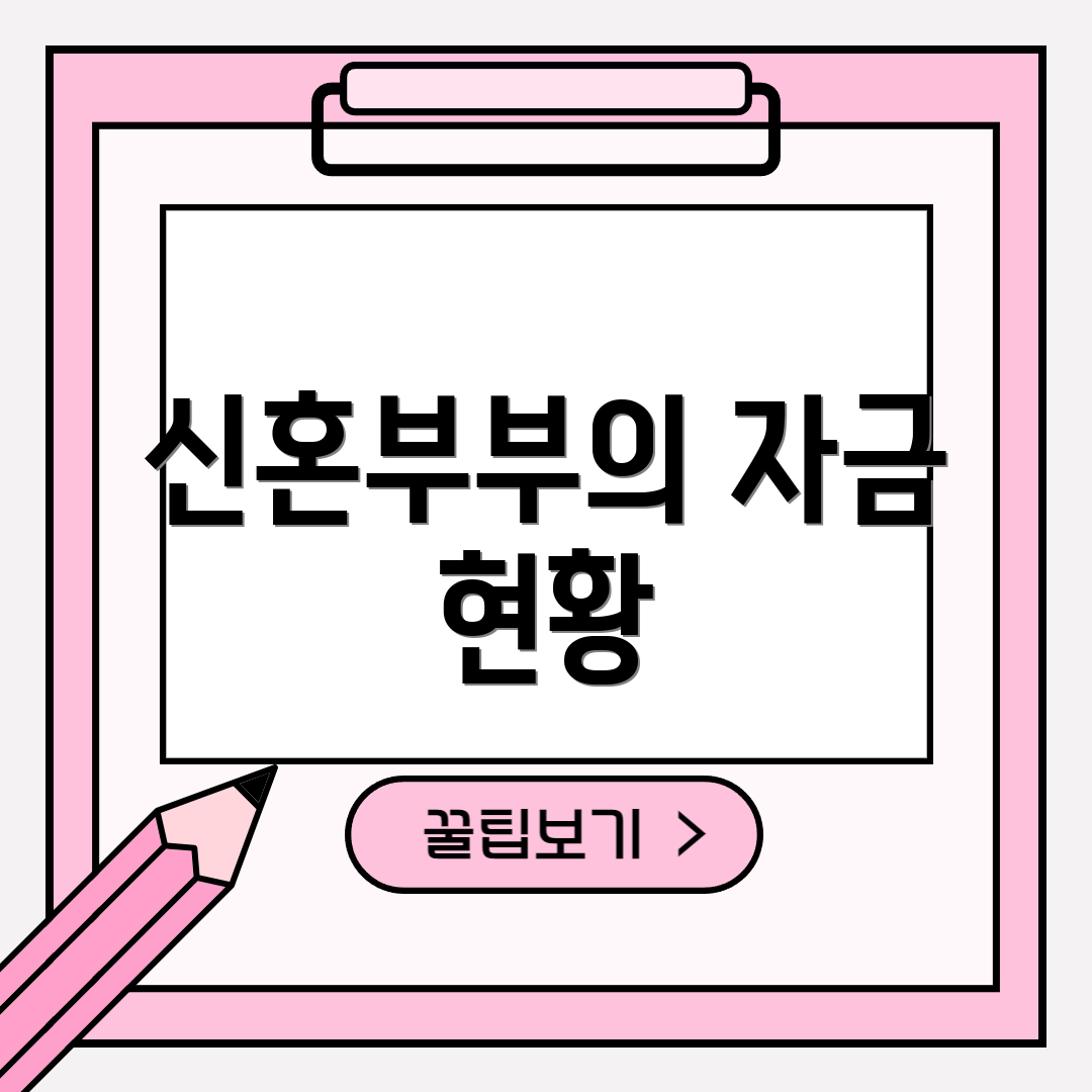 신혼부부의 자금 현황