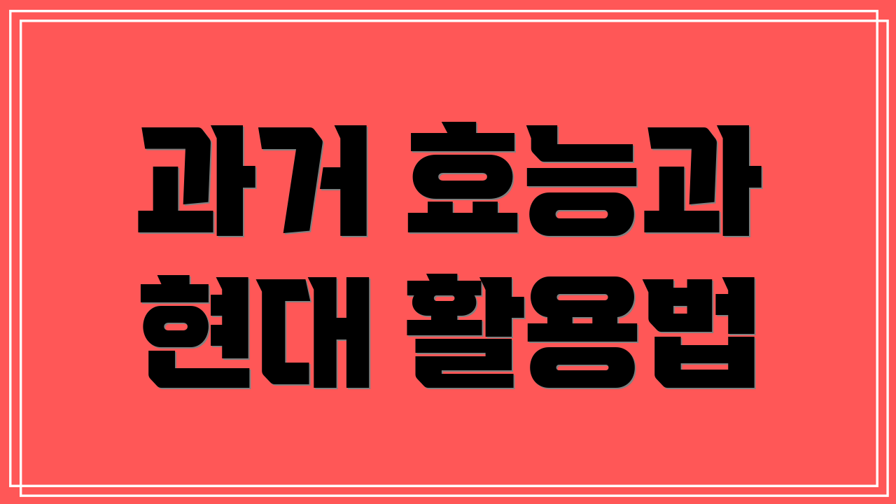 과거 효능과 현대 활용법