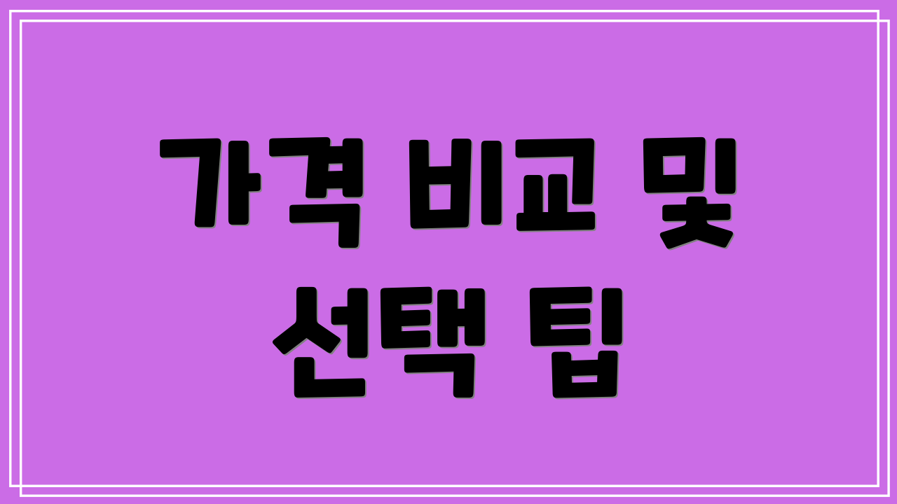 가격 비교 및 선택 팁