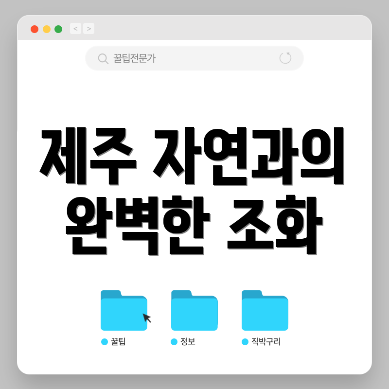 제주 자연과의 완벽한 조화
