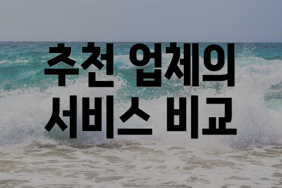 추천 업체의 서비스 비교