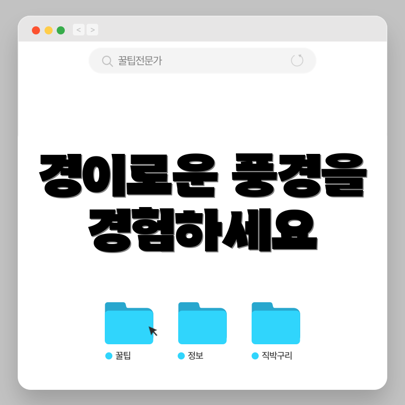 경이로운 풍경을 경험하세요