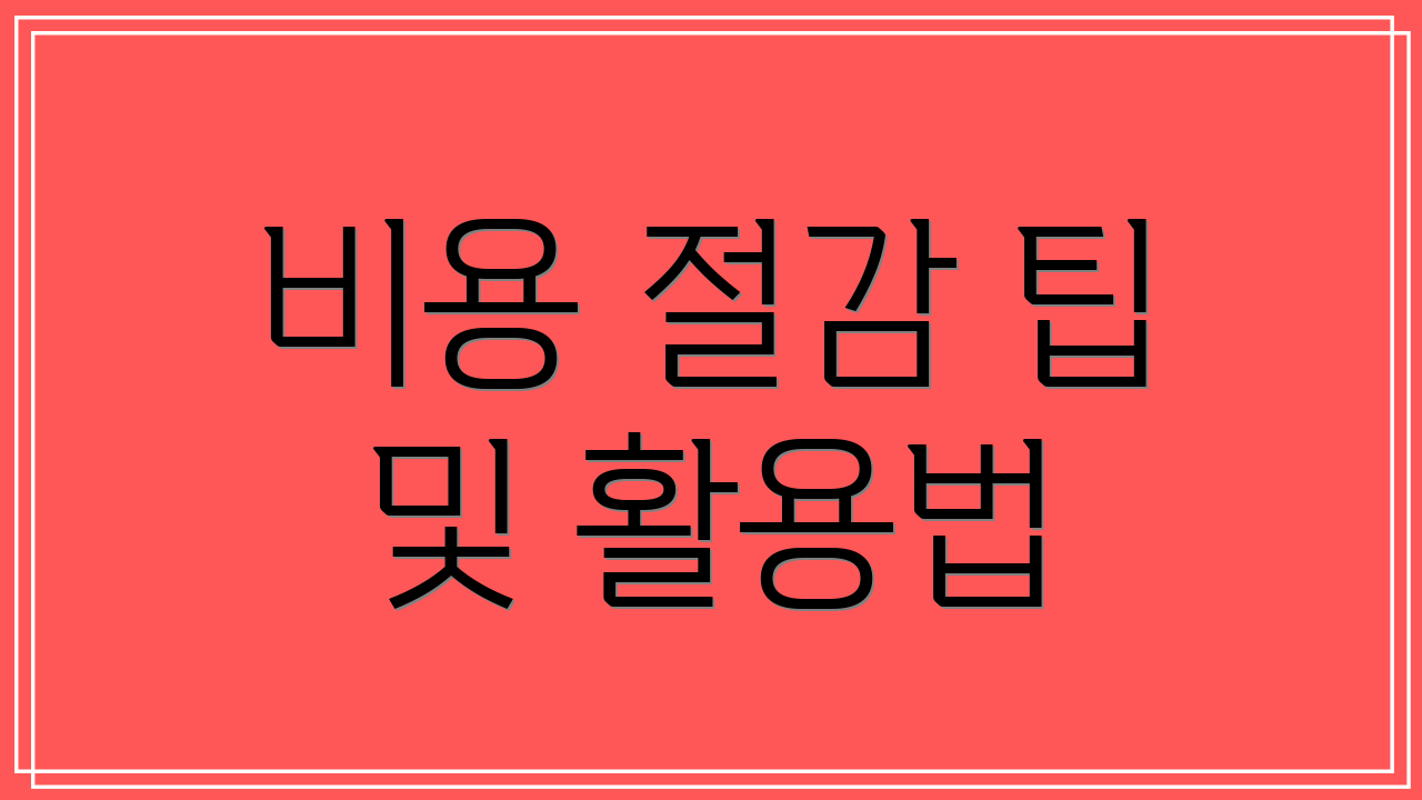 비용 절감 팁 및 활용법