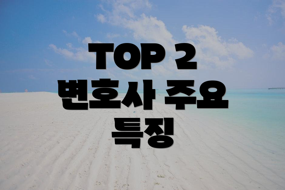 TOP 2 변호사 주요 특징