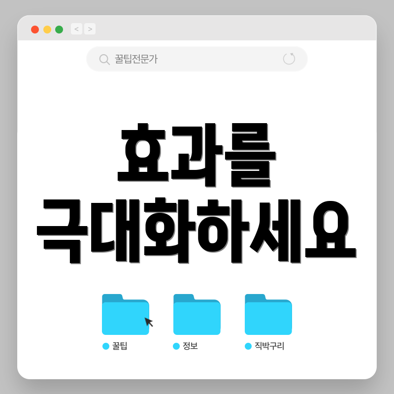 효과를 극대화하세요