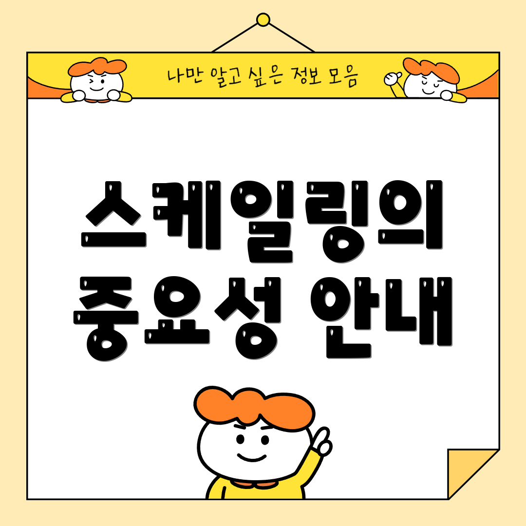 스케일링의 중요성 안내