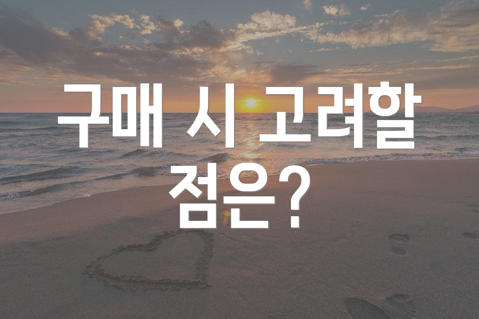 구매 시 고려할 점은?