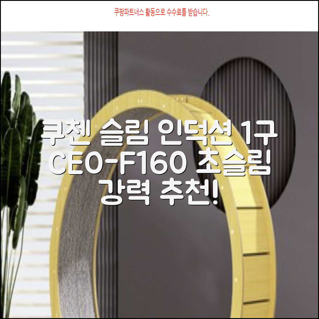 쿠첸 슬림 인덕션 1구, CEO-F160, 일반형 추천 리뷰