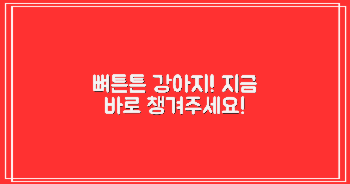 반려견 뼈 건강, 지금 챙겨주세요!