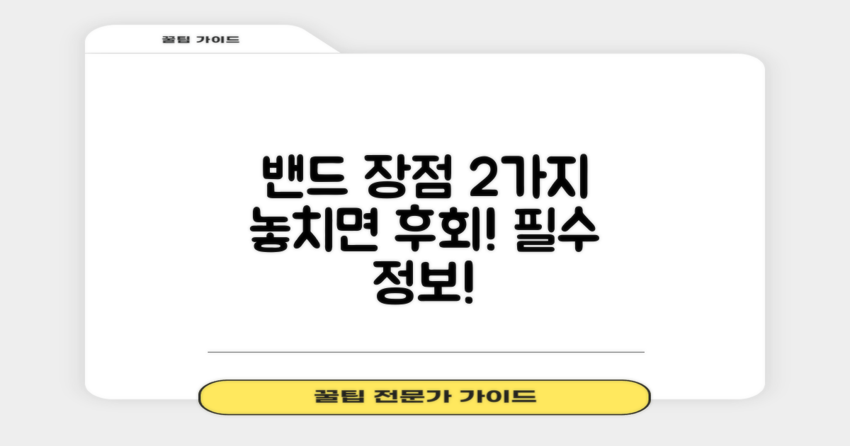2가지 밴드 장점