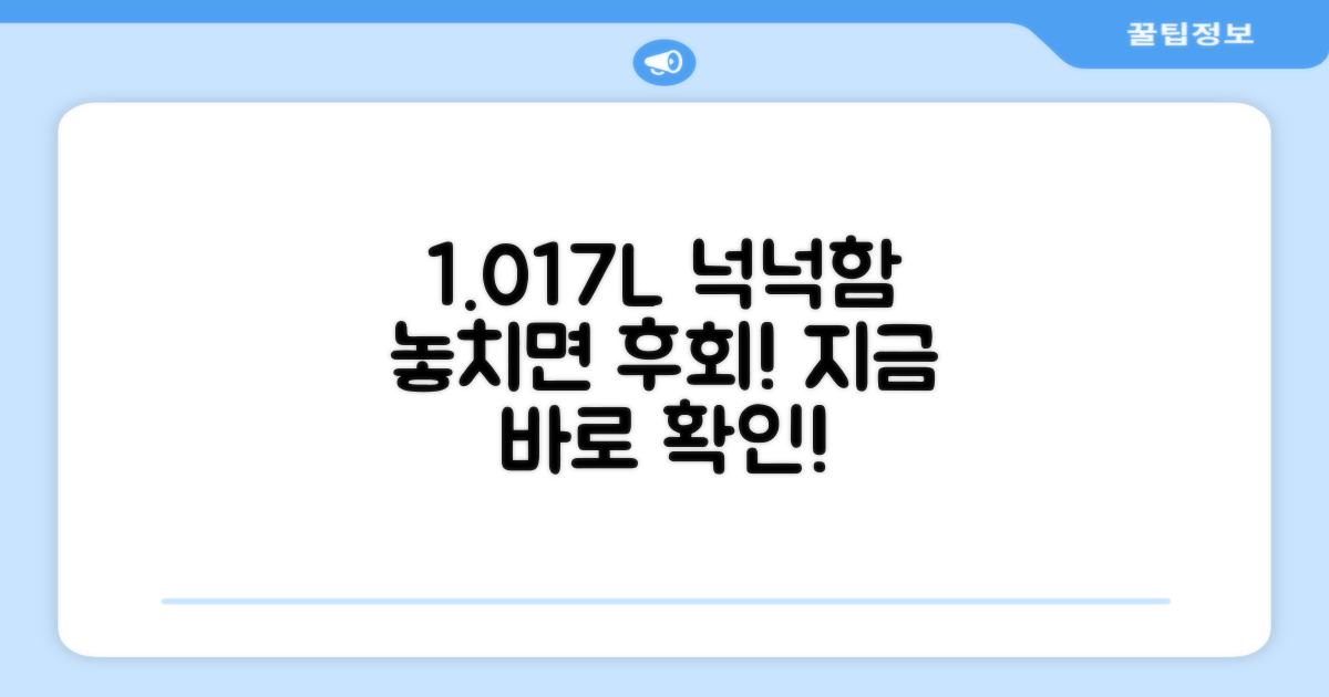 1.017L 넉넉함, 놓치지 마세요