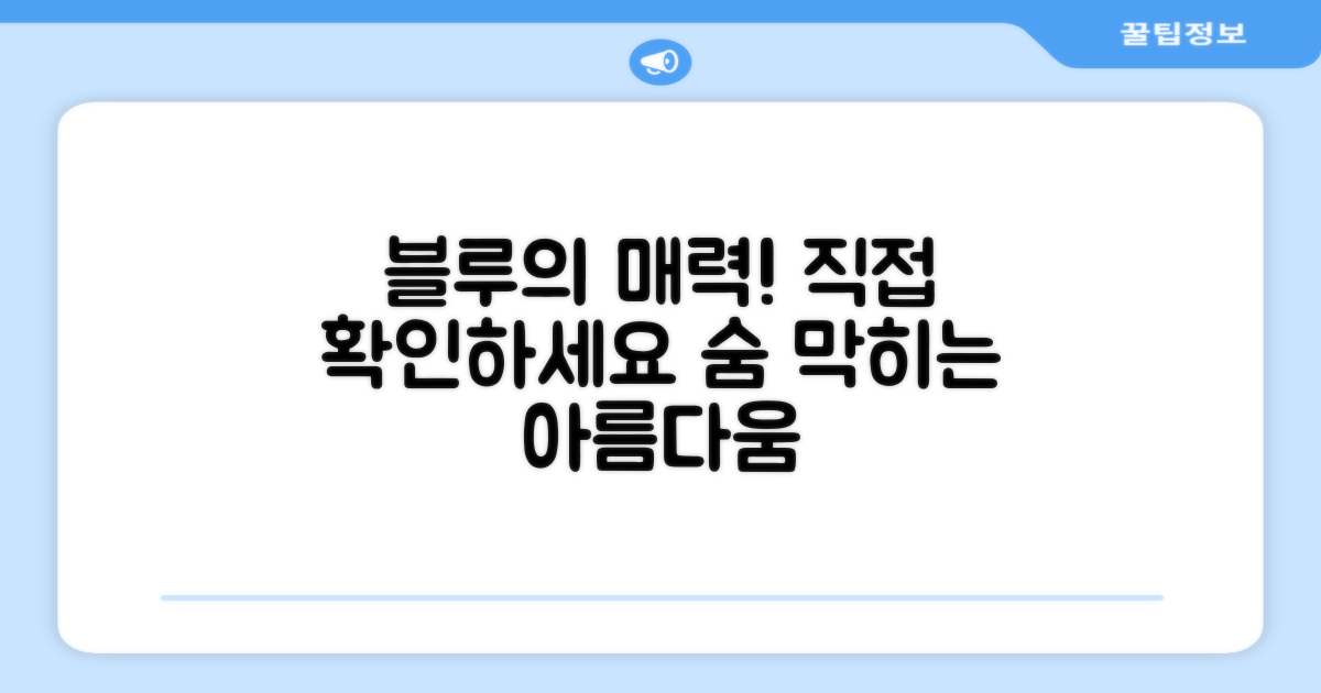 블루 색상, 직접 확인하세요