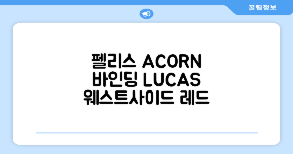 FELICE 장비세트6 ACORN데크 바인딩 LUCAS부츠, WESTSIDE 레드154+바인딩M, 1개 추천 리뷰