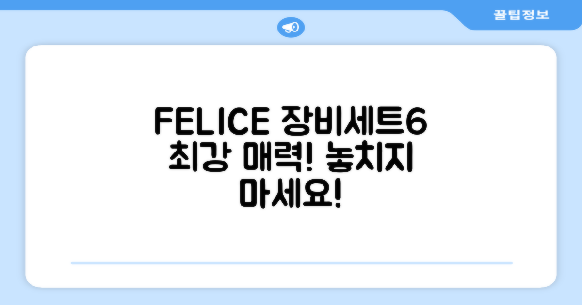 FELICE 장비세트6의 매력을 느껴보세요