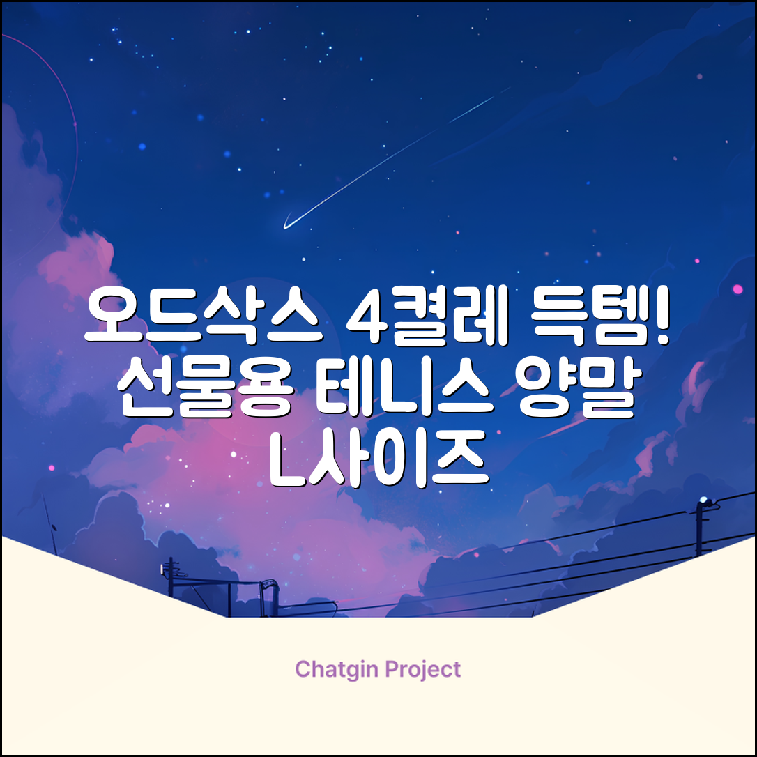 [오드삭스] 테니스 양말 세트B 4켤레 선물용, L(255mm-275mm), 1개 추천 리뷰