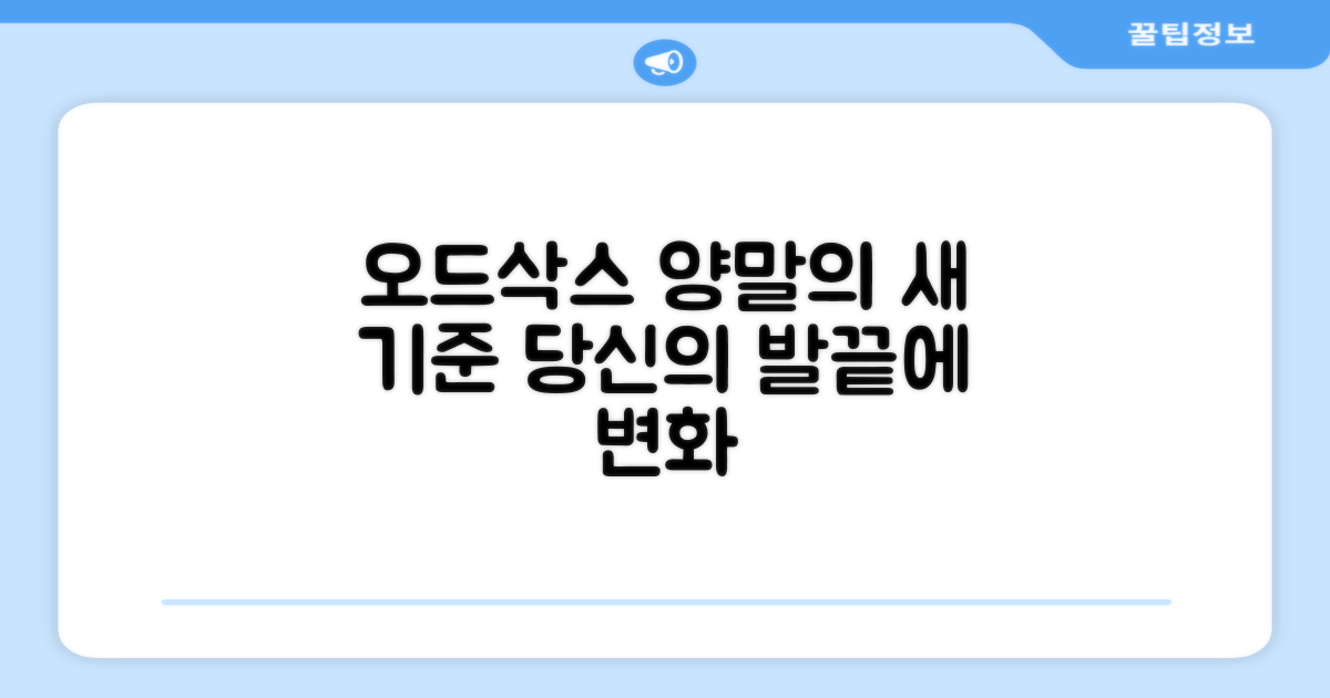 오드삭스, 양말의 새로운 기준