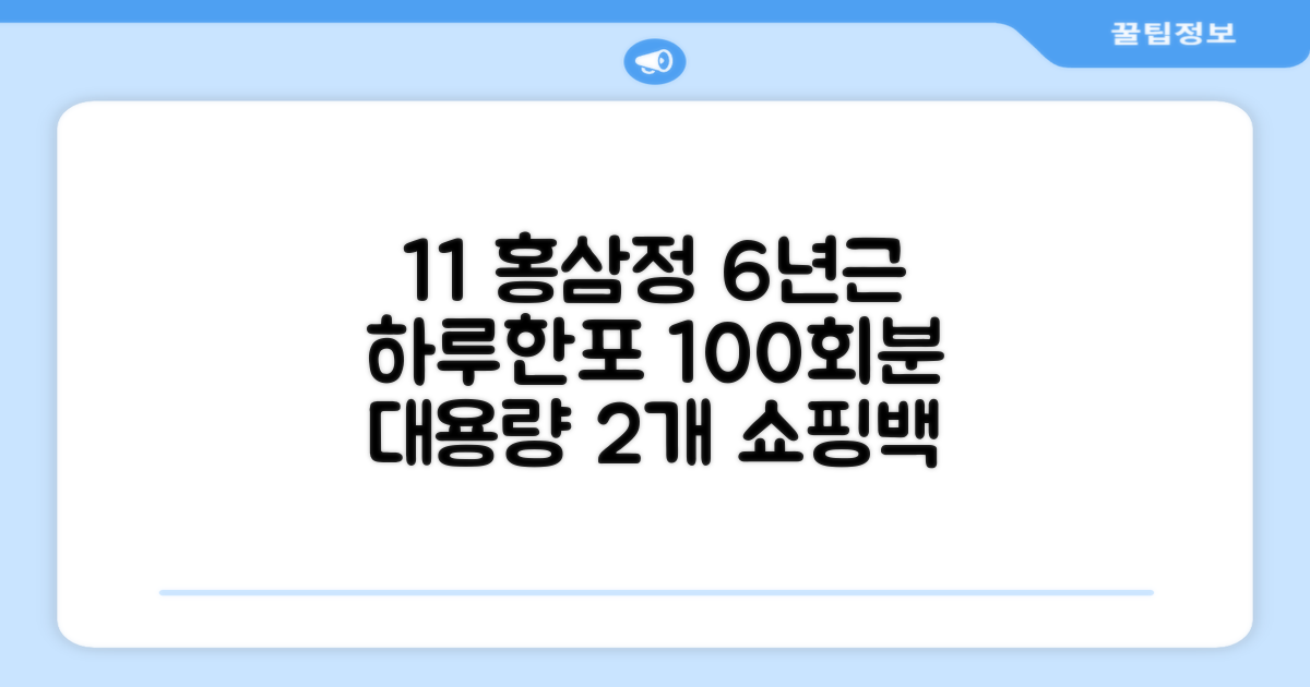 [1+1 특가] 홍삼정 6년근 하루한포 100회분 대용량+쇼핑백, 2개, 1L 추천 리뷰