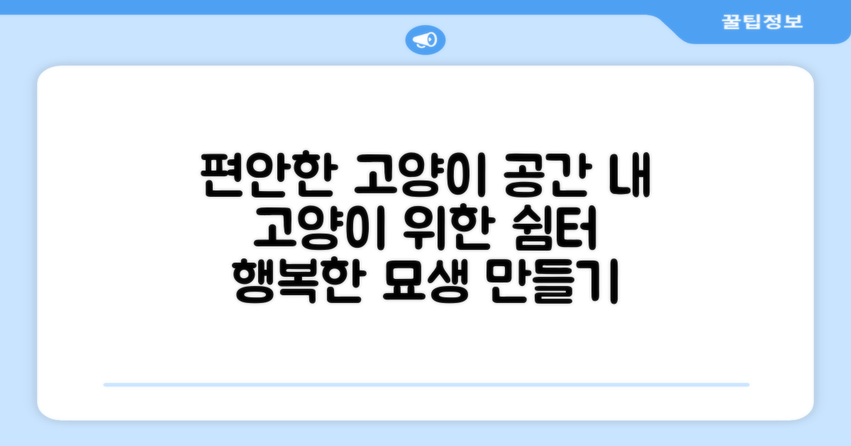고양이에게 편안한 공간