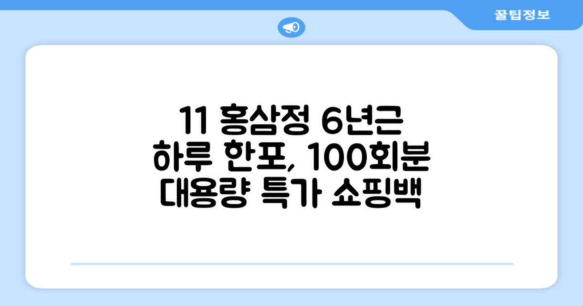 [1+1 특가] 홍삼정 6년근 하루한포 100회분 대용량+쇼핑백, 2개, 1L 추천 리뷰