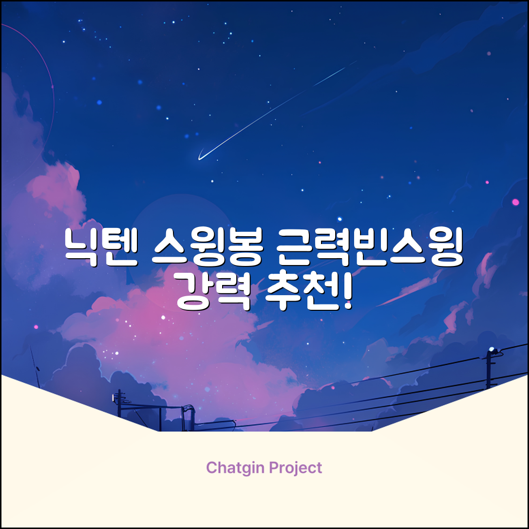 닉텐 배드민턴 스윙연습봉 - 근력강화 및 빈스윙연습, 1개, 스윙연습기 추천 리뷰