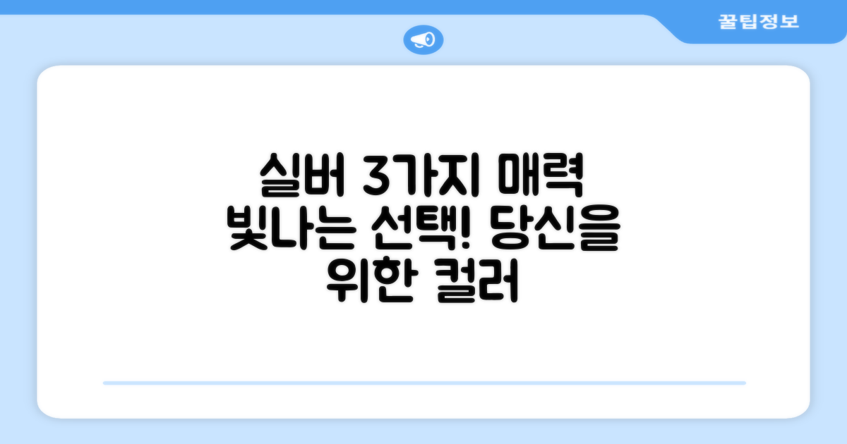 3가지 실버 색상 매력