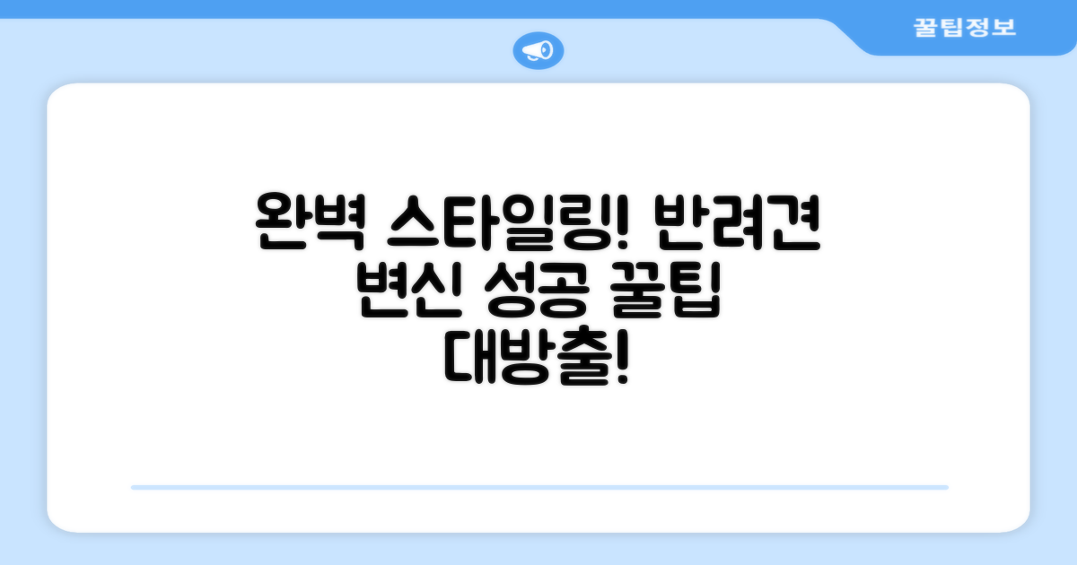 반려견 스타일링 완성