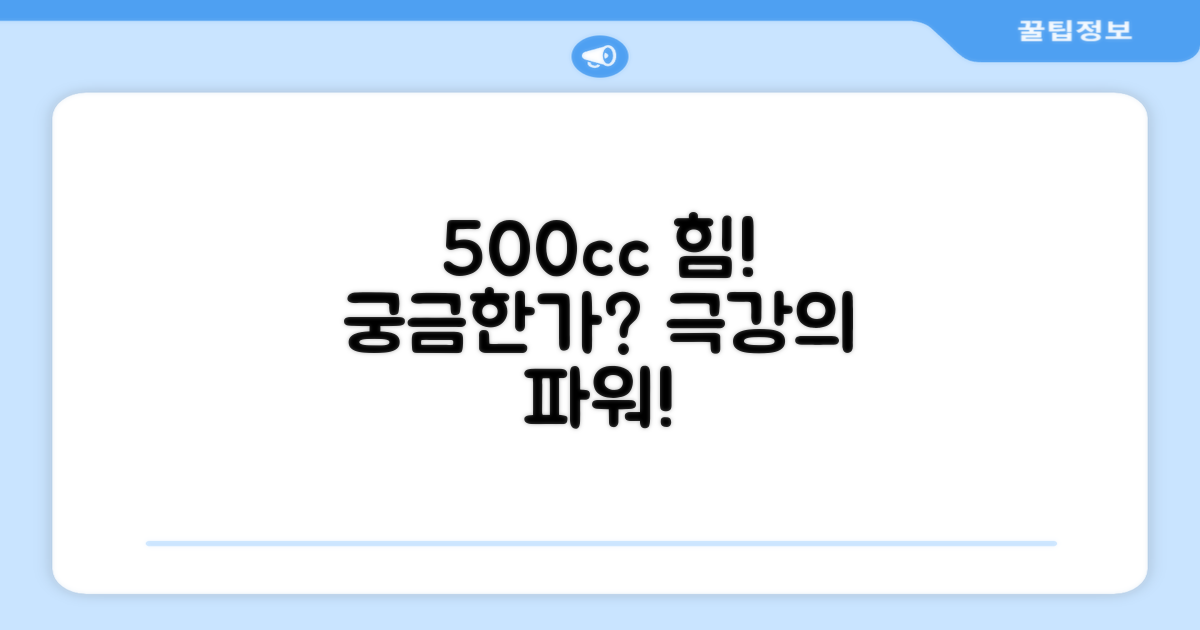 500cc의 힘, 얼마나 대단할까?