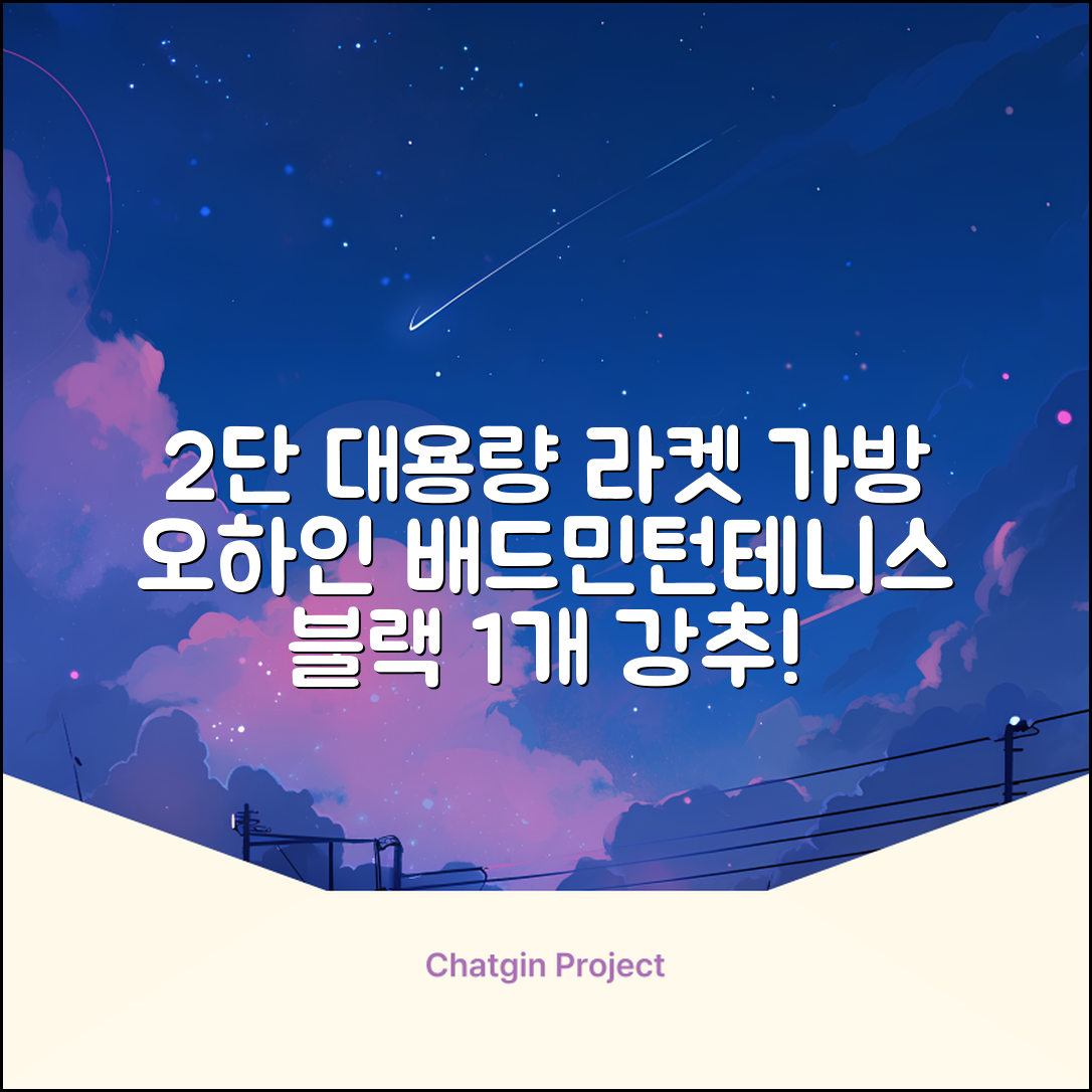 오하인 배드민턴 테니스 스쿼시 2단 대용량 라켓 가방, 블랙, 1개 추천 리뷰