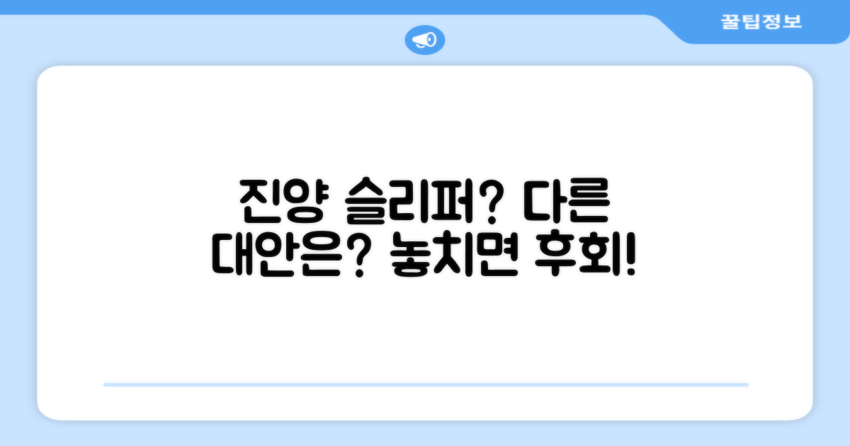 진양 슬리퍼, 다른 선택지는?