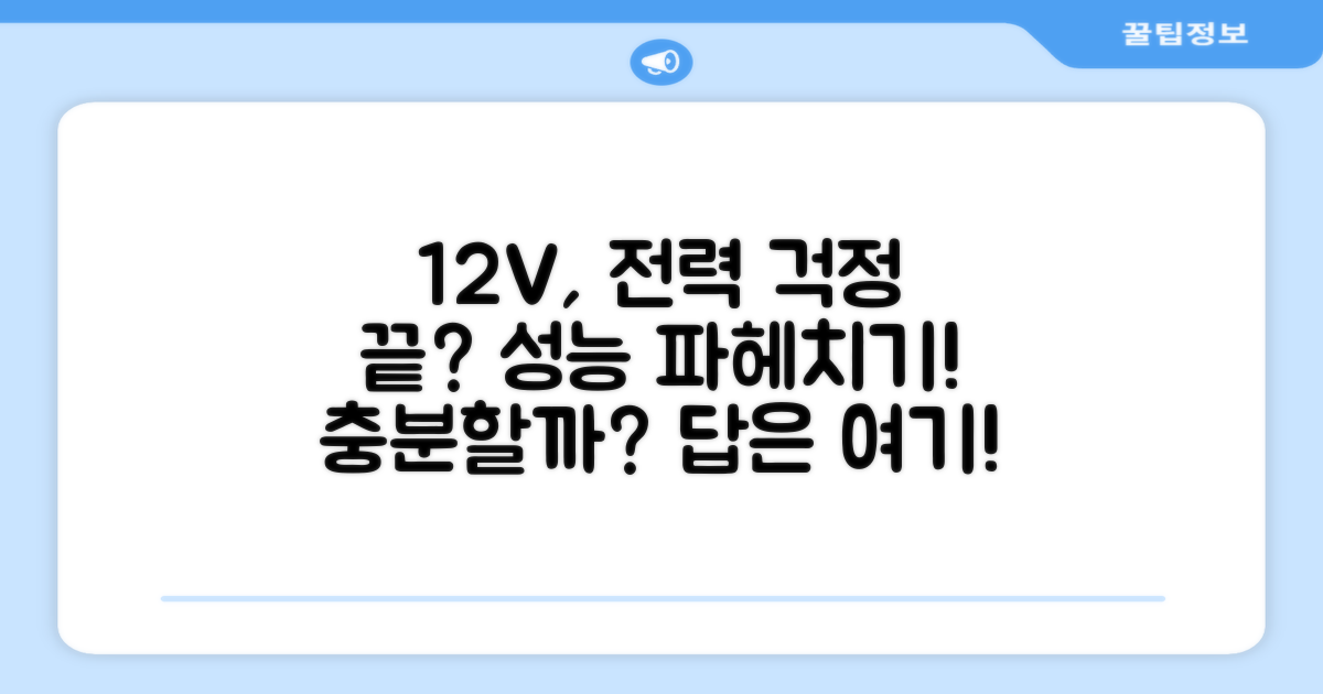 12V, 성능은 충분할까요?