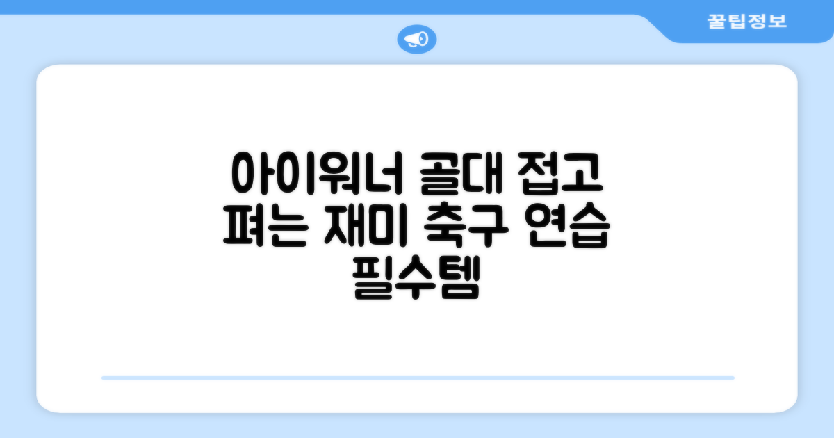 아이워너 길이 조절 접이식 축구골대 세트, 혼합색상, 1세트 추천 리뷰