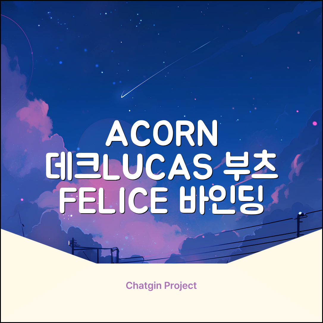 FELICE 장비세트6 ACORN데크 바인딩 LUCAS부츠, WESTSIDE 레드154+바인딩M, 1개 추천 리뷰