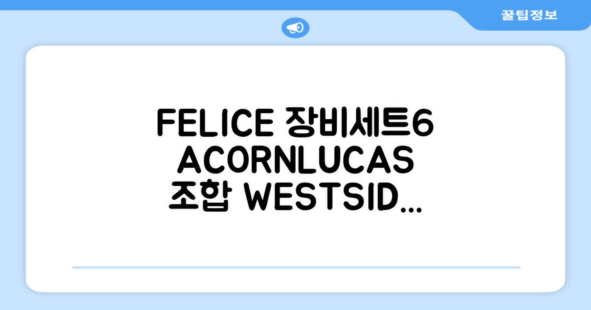 FELICE 장비세트6 ACORN데크 바인딩 LUCAS부츠, WESTSIDE 레드154+바인딩M, 1개 추천 리뷰