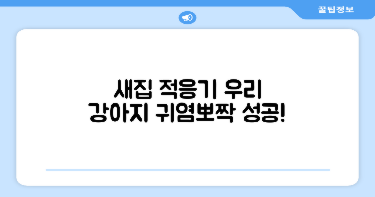 우리 강아지, 새집 적응기