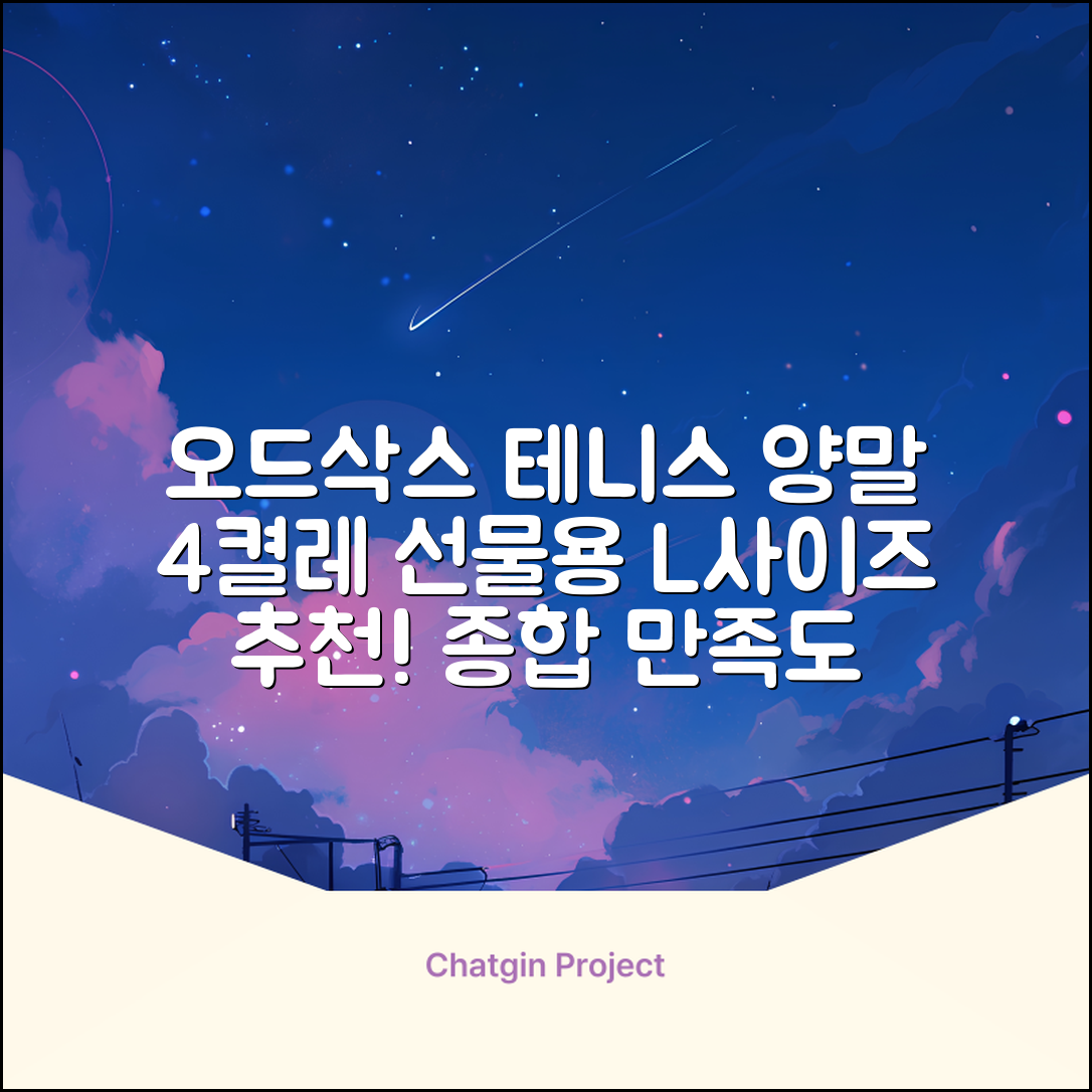 [오드삭스] 테니스 양말 세트B 4켤레 선물용, L(255mm-275mm), 1개 추천 리뷰