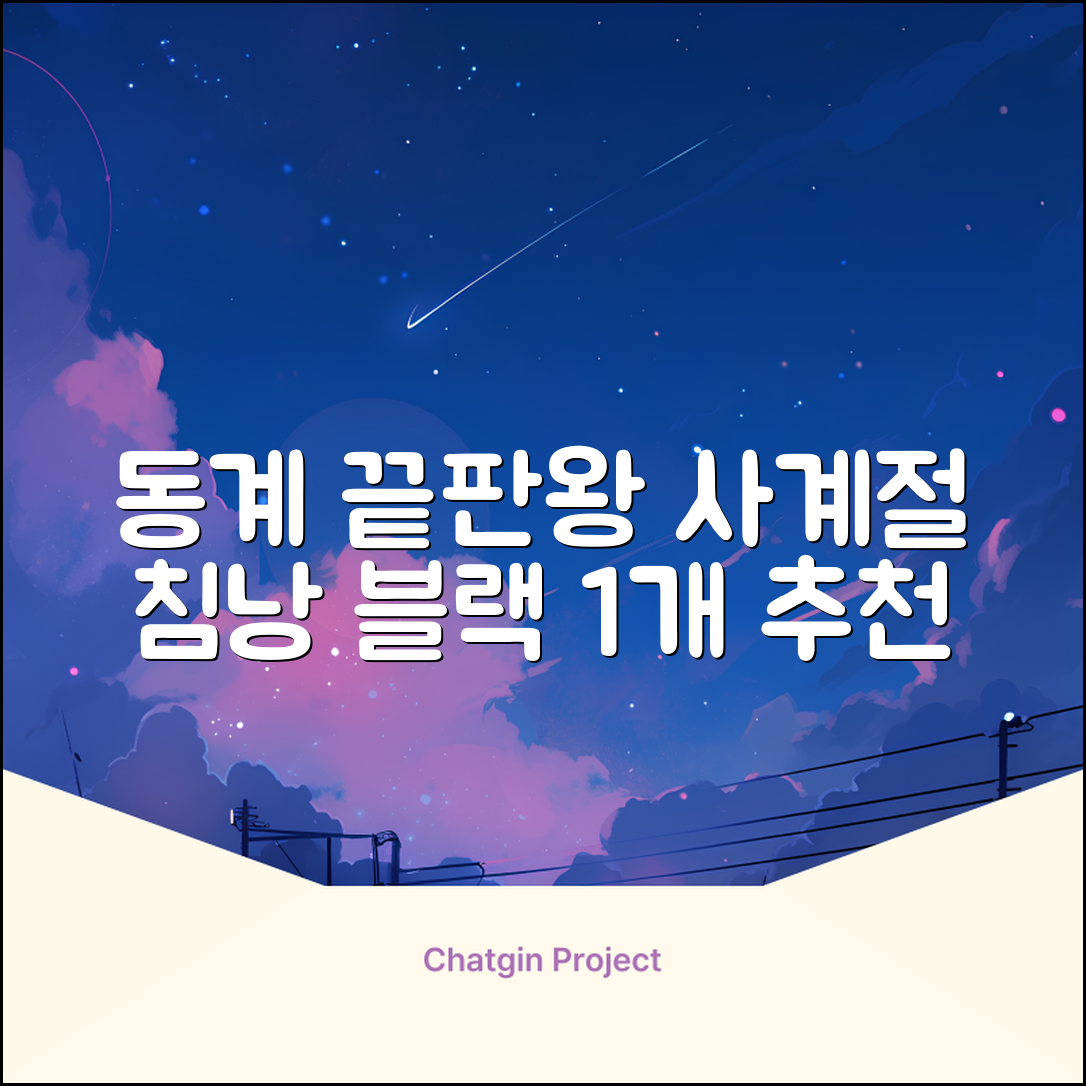 캠핑 침낭 사계절 동계 겨울 백패킹 베이스 슬리핑백 차박 이불, 1개, 블랙 추천 리뷰